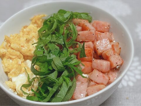 スパムと大葉と卵の３色丼